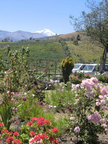 Hosteria Rose Cottage