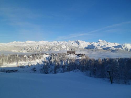 Chalet Hostel Murka