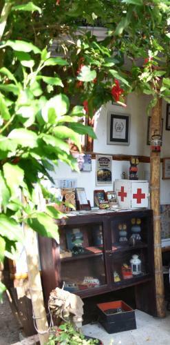Lodge Caba�as Viejamar