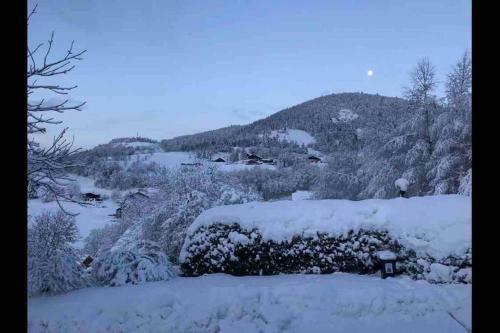 Le G�te Du Petit Skieur - 4 �toiles