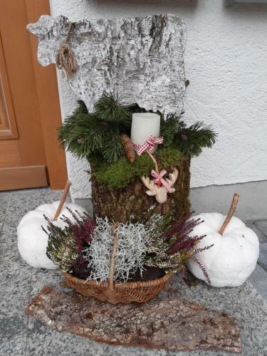 Apartamento Ferienwohnung Franzi