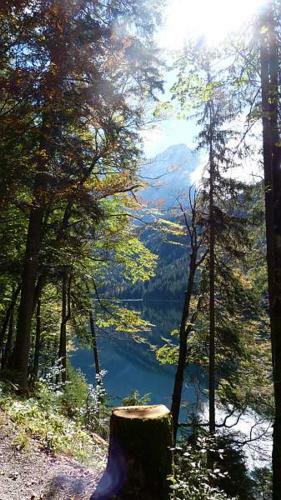Apartamento Fewo K�nigsberger