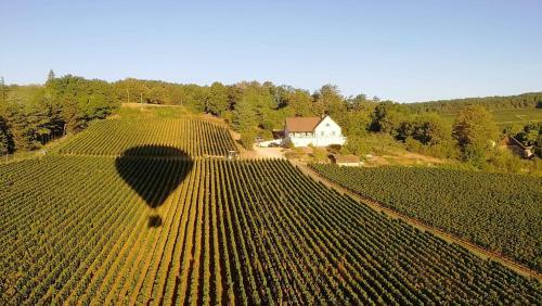 Hostal Le Mont Laurent
