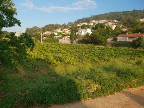 Villa Marie - Provence C�te D'azur
