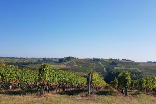 Le Domaine D Eden Ch�teau Garreau