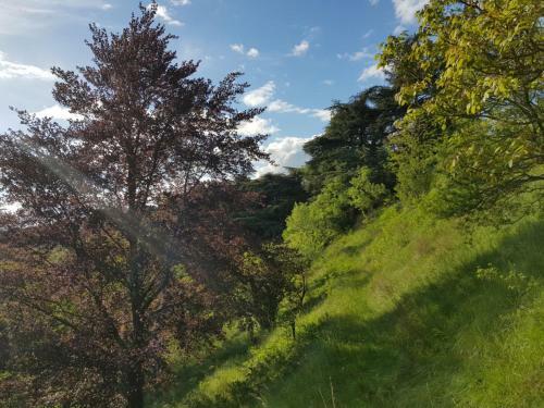 Hostal Lyon Country House