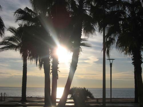 Apartamento Plage Et Hippodrome