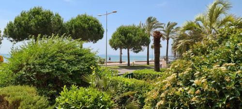 Apartamento Studio De La Plage - Mer, Terrasse Et Garage
