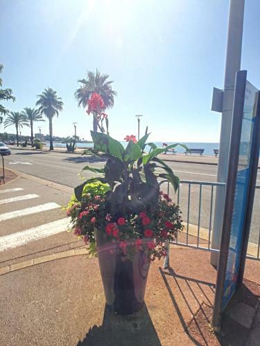 Apartamento Port Immo Lido Rialto Cote D'azur