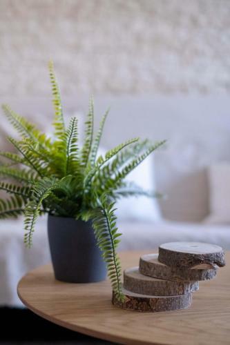 Apartamento Appartement Cocooning � Cabourg - Les Locations de Proust