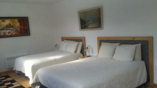 Chameleon Hotel