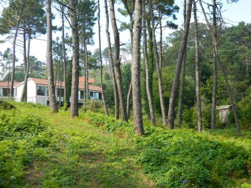 Hotel Al�n Do Mar