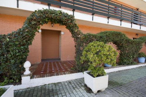 Hostal Nueva Andalucia