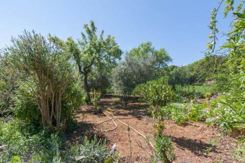 Villa Pontons