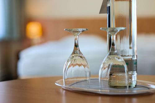 Hotel Wiking