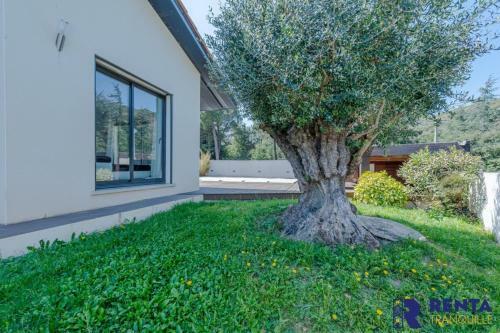 Villa L'olivier Piscine Jardin Wifinetflix