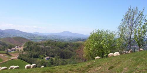 Hostal Domaine Xixtaberri