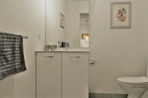 Apartamentos Arroka Au Baskoparadis