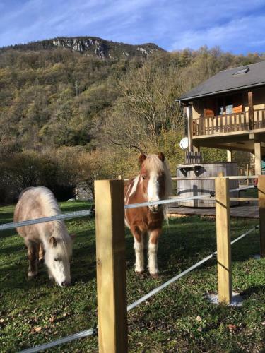 Les Marmottes Du Tucaou Groupe Bain Norvegien