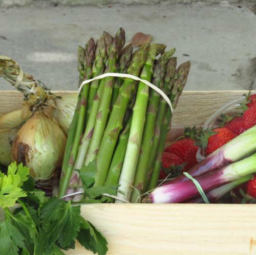 Bed & Breakfast La Bastide De Canaules