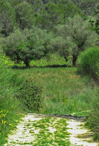 Bed & Breakfast La Bastide De Canaules