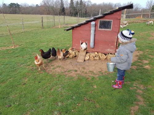 G�te �questre Domaine Des Crins - Monpazier