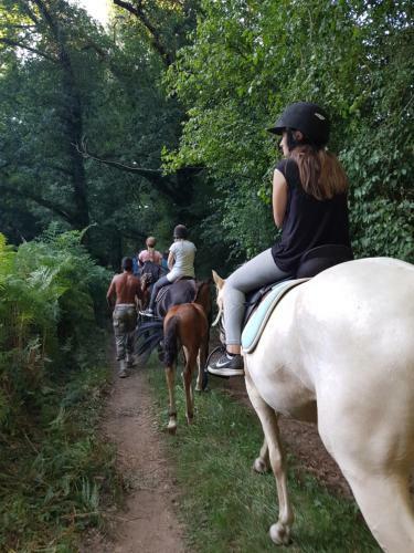 G�te �questre Domaine Des Crins - Monpazier