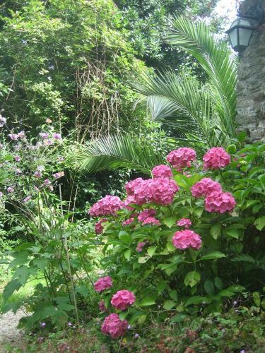 Apartamento Appartements Cancale