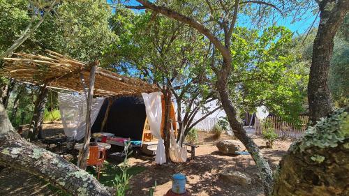 Lodge G�te Atypique : Le Pod