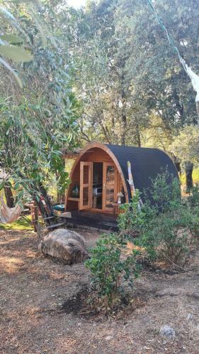 Lodge G�te Atypique : Le Pod