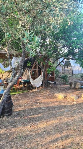 Lodge G�te Atypique : Le Pod