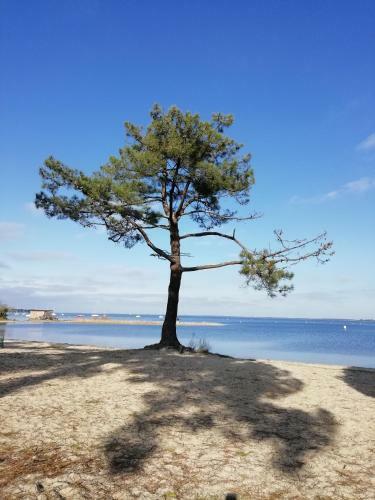 Apartamento Les Grands Pins