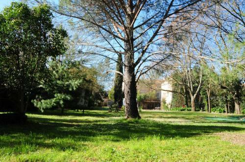 Orangerie De Cardet B&B