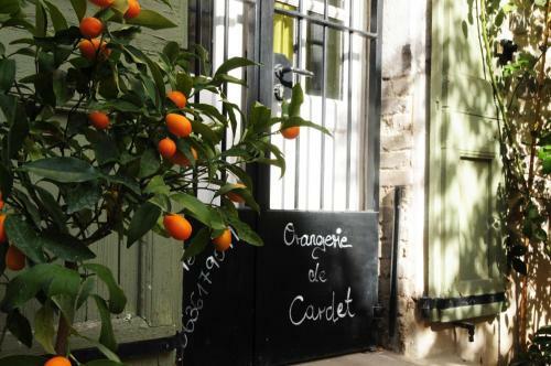 Orangerie De Cardet B&B