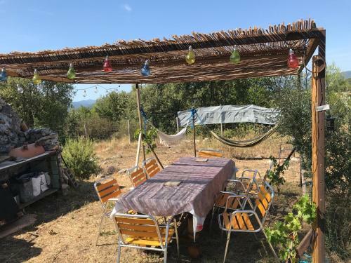 Cabane De L?orient