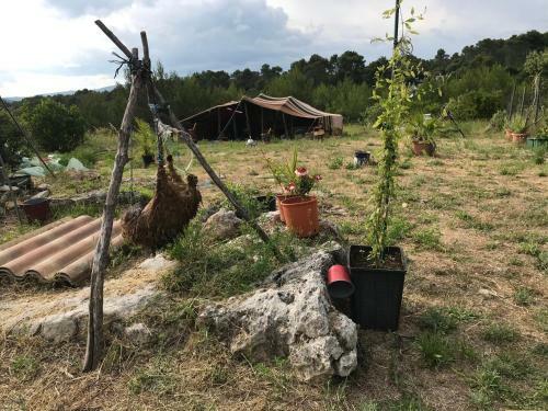 Cabane De L?orient