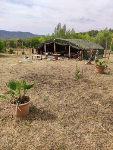 Cabane De L?orient