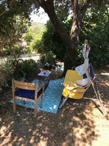 Cabane De L?orient