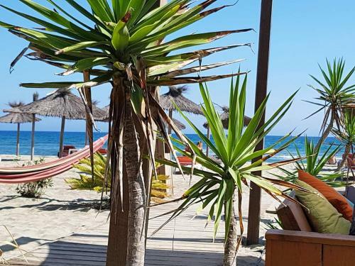 Apartamentos Beau Studio � 1 Minute De La Plage