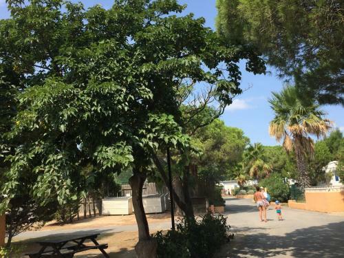 Mobilhome Canet