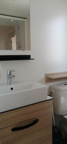 Mobil Home Luminosa 2021
