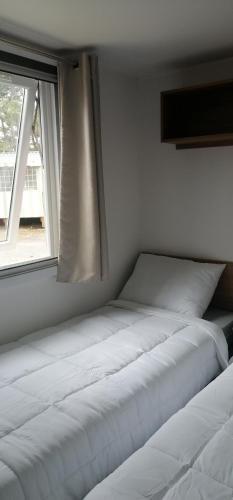Mobil Home Luminosa 2021