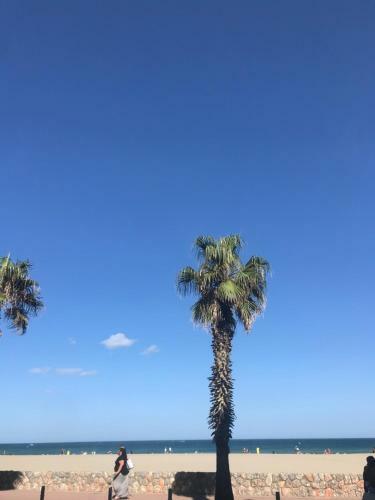 Apartamento Studio Plage