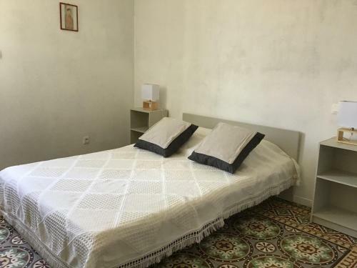 Canet : Agr�able Maison Au Calme Pour 8 Personnes.
