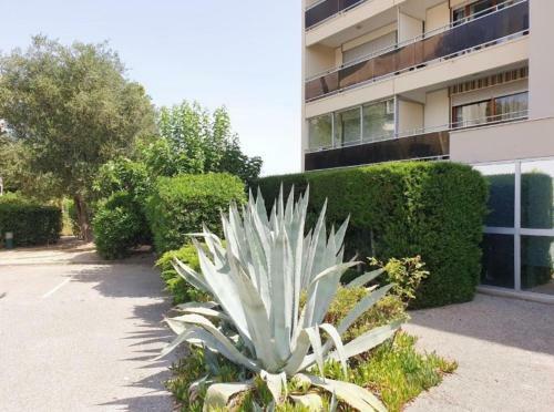 Apartamento Studio R�sidence Piscine Internet Parking