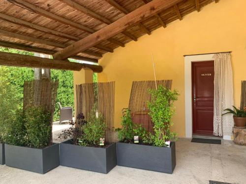 G�te L'olivier (bastide Sainte Agn�s)