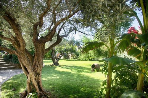 G�te L'olivier (bastide Sainte Agn�s)