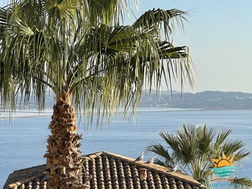 Villa 4*-vue Sur Les Les Iles D'or-carqueiranne
