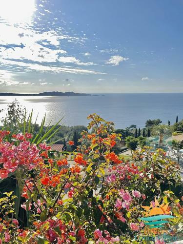Villa 4*-vue Sur Les Les Iles D'or-carqueiranne
