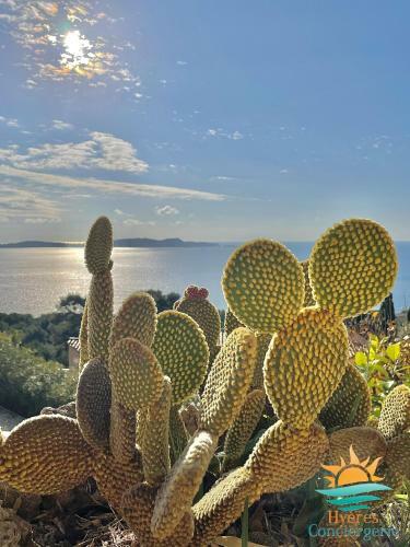 Villa 4*-vue Sur Les Les Iles D'or-carqueiranne